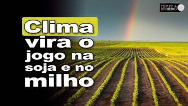 Soja e milho sob pressão do clima no Br e incertezas sobre a produtividade, relata Robson Polotto