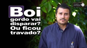 Boi gordo começa semana com preços estáveis. Promete novas altas? Felipe Fabbri, da Scot, comenta