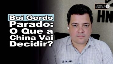 Boi gordo: mercado estável aguarda detalhes sobre restrições da China, exportações e consumo interno