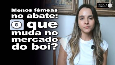 Boi gordo: cai numero de fêmeas abatidas em outubro e sobe o número de machos nas linhas de produção