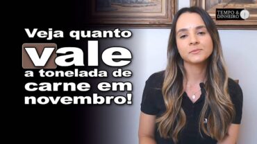 Veja como ficou o valor da tonelada de carne no mercado internacional