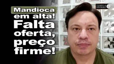 Mandioca: mercado ainda pouco ofertado e preços firmes, informa Fabio Isaías Felipe do CEPEA