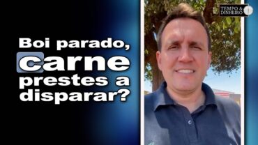 Boi gordo tem estabilidade de preços e expectativa para carne no atacado, informa Thiago Bernardino