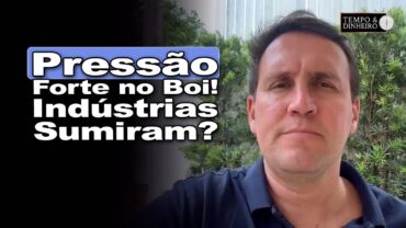Boi gordo pressionado e indústrias fora das compras? Thiago Bernardino, do CEPEA, comenta o porquê.
