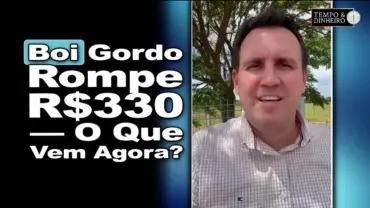 Boi gordo começa novembro firme com cotações acima de R$330@ na B3. Mercado físico pouco ofertado