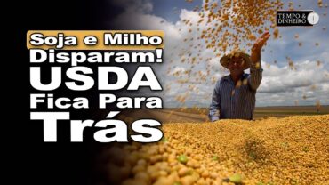 Soja e milho abrem semana em alta e deixam USDA para trás. Clima no foco das atenções
