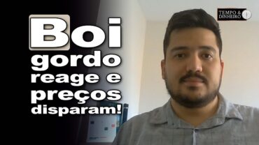Boi gordo volta a ter fluidez nos negócios e tem preços firmes, informa Luis Gustavo Susumo