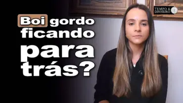 Boi gordo perde competitividade para carnes de suínos e de frango, avalia Isabella Camargo