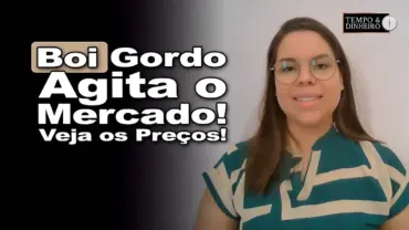 Boi gordo tem comportamento variado de preços e aumento das escalas de abate,informa Izabela Zavatti
