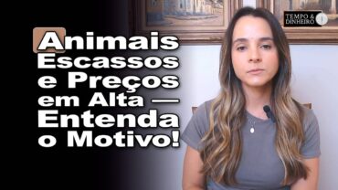 Boi gordo: preços firmes da carne no atacado e animais para abate, informa Isabella Camargo