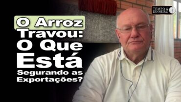 Arroz em alerta: o que o analista revela sobre o mercado que poucos estão vendo
