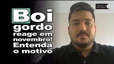 Boi gordo: negociações de novembro oferecem suporte aos preços da @, informa Luis Gustavo Susumo