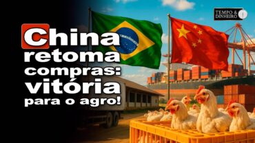 China retoma importação de carne de frango do Brasil. Ricardo Santin, presidente da ABPA comemora