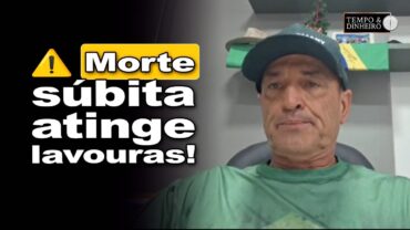 Soja com “morte súbita” no PR. Excesso de umidade compromete safra, alerta Edmilson Zabott