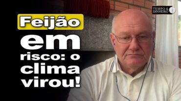 Feijão em risco: clima vira o jogo e ameaça a nova safra