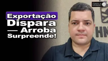 Boi gordo segue com exportações a todo o vapor o que garante preços mais firmes da arroba