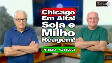 Soja ganha força com o farelo e milho avança em Chicago: o que explica esse fôlego?