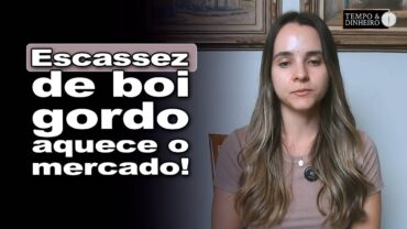 Boi gordo: oferta restrita de animais terminados da suporte às altas, comenta Isabella Camargo