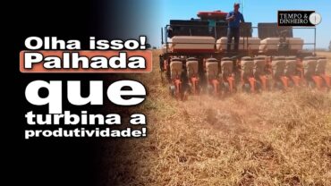 Soja no plantio direto em Campos Novos Paulista-SP. Palhada garante proteção e boa produtividade