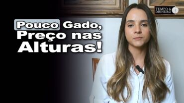 Boi gordo: cenário de baixa oferta contribui para preços firmes, informa Isabella Camargo