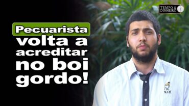 Boi começa novembro estável mas com pecuarista um pouco mais confiante, relata Rodrigo De Mundo