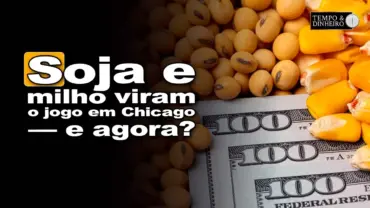 Soja e milho em dia de ajuste em Chicago. O que esperar nos próximos dias? Marcelo Gavlik analisa