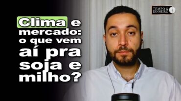 Soja e milho de olho no clima, exigências ambientais para exportação e diferenças de cotações