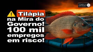 Escândalo da Tilápia: Lula considera espécie invasora. Atividade gera 100 mil empregos só no Paraná