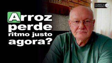 Arroz desacelera bem na reta final. Por quê? Vlamir Brandalizze comenta