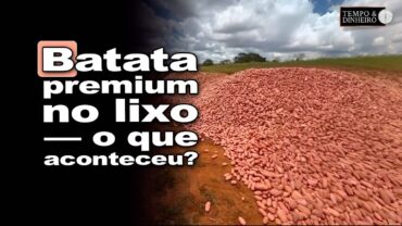 Batata perfeita virando lixo: por quê?