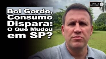 Boi gordo começa dezembro estável em SP mas com peso maior no consumo interno de carne