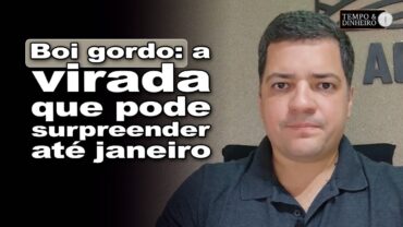 Boi gordo – o quê esperar nas próximas semanas até o começo de janeiro: Hyberville Neto comenta