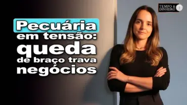 O que trava o boi? Disputa forte mantém volume de negócios no chão