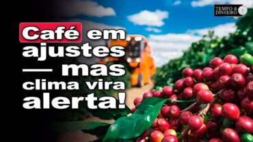 Café começa primeira semana de dezembro com ajuste técnico e atento ao clima nas regiões produtoras