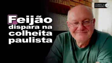 Enquanto o Brasil hesita, o feijão avança na colheita em São Paulo