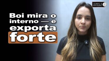Boi gordo começa dezembro de olho no mercado interno e exportações, relata Isabella Camargo