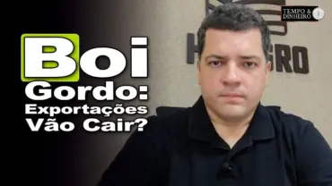 Boi gordo: exportações seguem firmes mas devem ser menores em dezembro, comenta Hyberville Neto