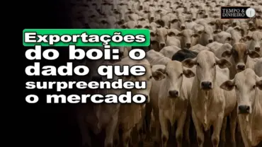 Boi gordo: veja como estão as exportações com Hyberville Neto