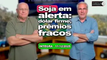 Soja de olho no dólar e nos prêmios no dia seguinte ao USDA. Café e boi firmes