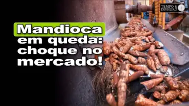 Mandioca em queda livre: o que está puxando essa virada tão brusca?