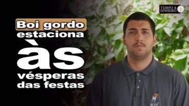 Boi gordo estável em compasso de festas de fim de ano, informa Rodrigo De Mundo, da Scot Consultoria