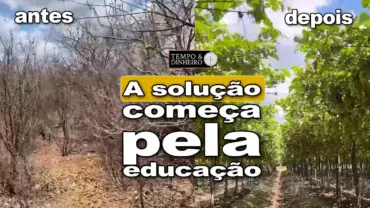 A solução começa pela educação, defende Humberto Miranda, Presidente da FAEB