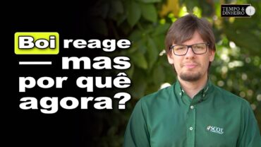 Boi gordo reage ligeiramente de olho no consumo de carne neste mês. O que se pode esperar?