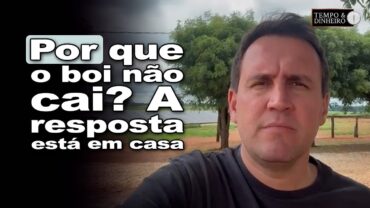 Boi gordo: consumo interno sustenta cotações, informa Thiago Bernardino, do CEPEA