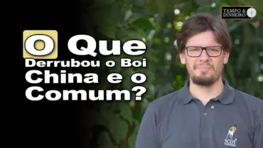 Boi China x Boi comum: por quê os dois recuaram ao mesmo tempo?