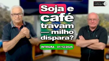 Soja e café começam dezembro no banho maria. Oportunidades no milho. Chuvas generalizadas