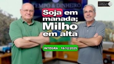 Enquanto Chicago vende soja em massa, o milho ganha força no mercado brasileiro