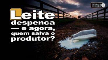 Leite não para de cair! Quem vai ajudar os produtores? Veja o desabafo de um produtor paranaense