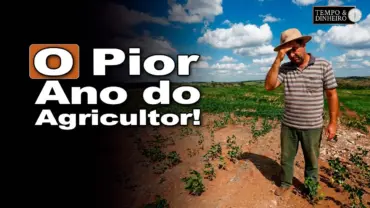 Soja e milho. Agricultor enfrenta um dos anos mais desafiadores, comenta Ênio Fernandes