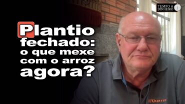 Plantio do arroz se encerra, mas o mercado aponta surpresa pela frente